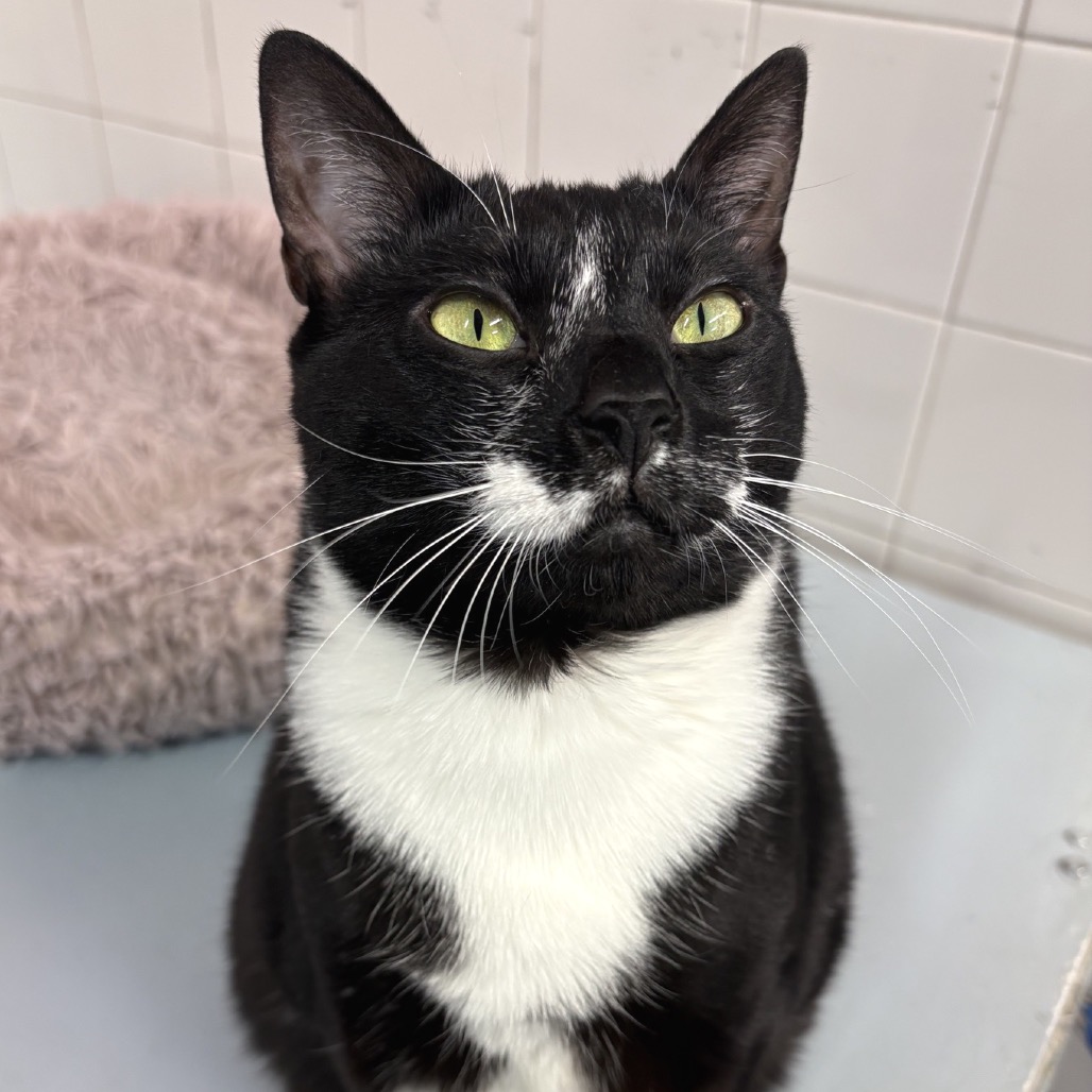 Photo of Peta playing