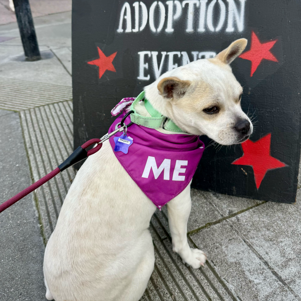 Margaret — thumbnail 2