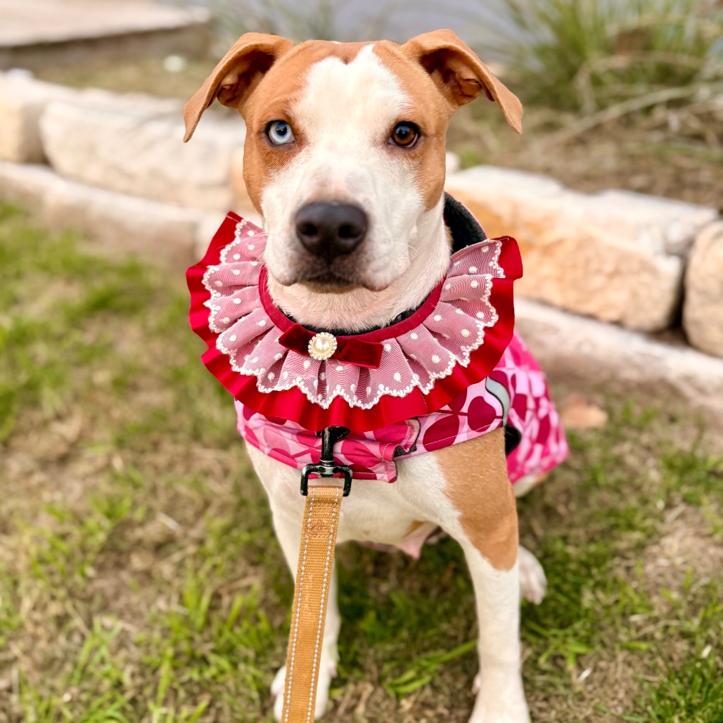 January Eve — thumbnail 7