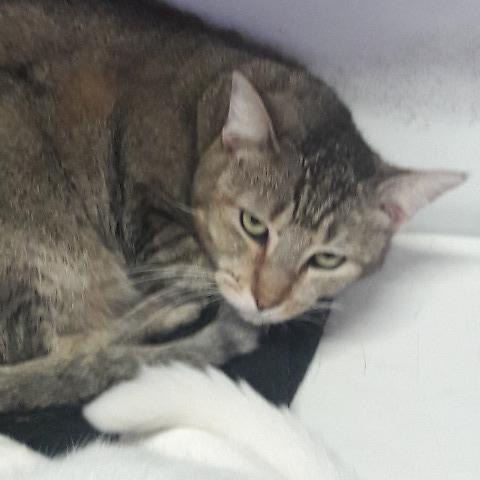 Full body shot of Whisper