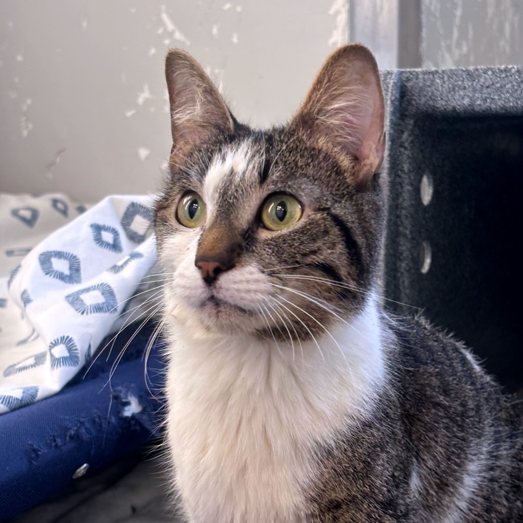 McKenna — thumbnail 5