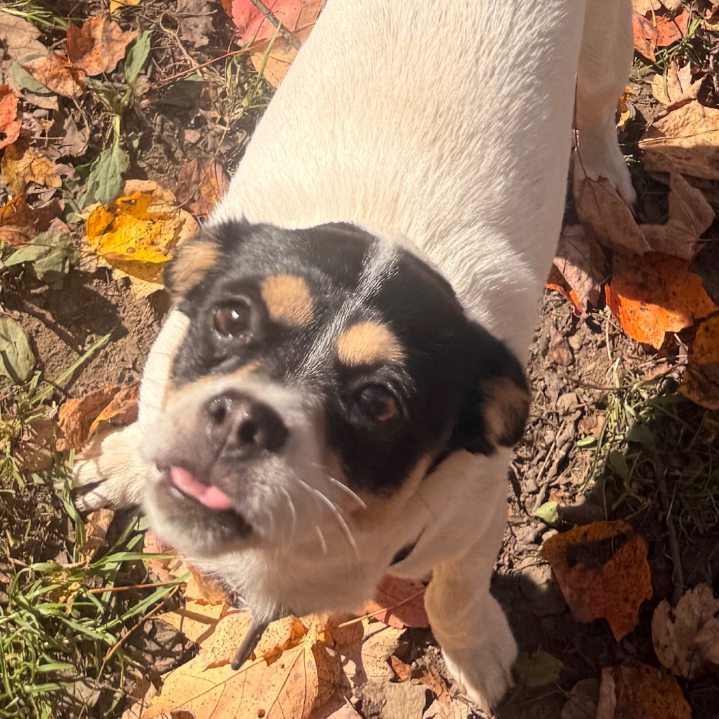 MYA, photo 10