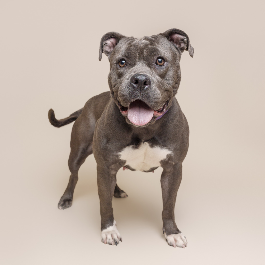 Photo of Ember
