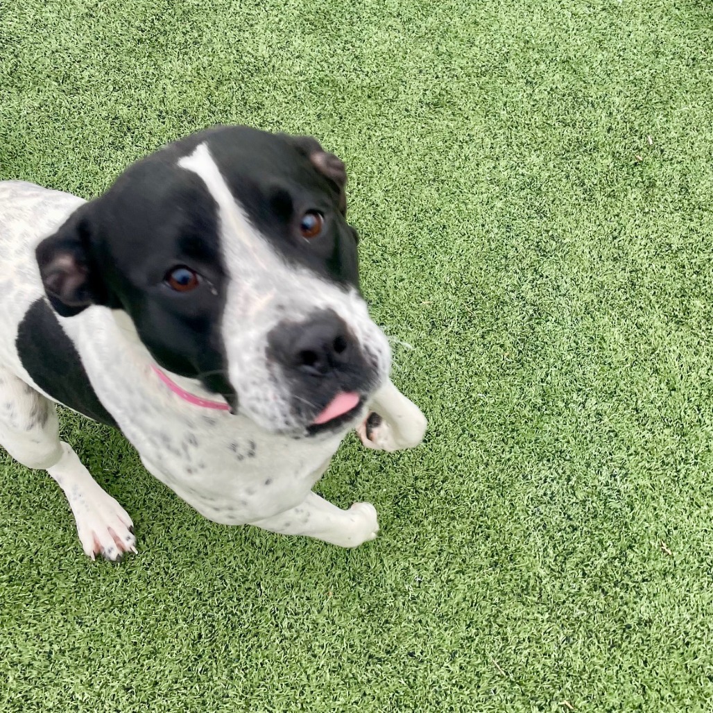 Wendy — thumbnail 3