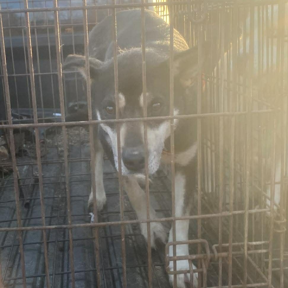 Taya Thurman — thumbnail 2