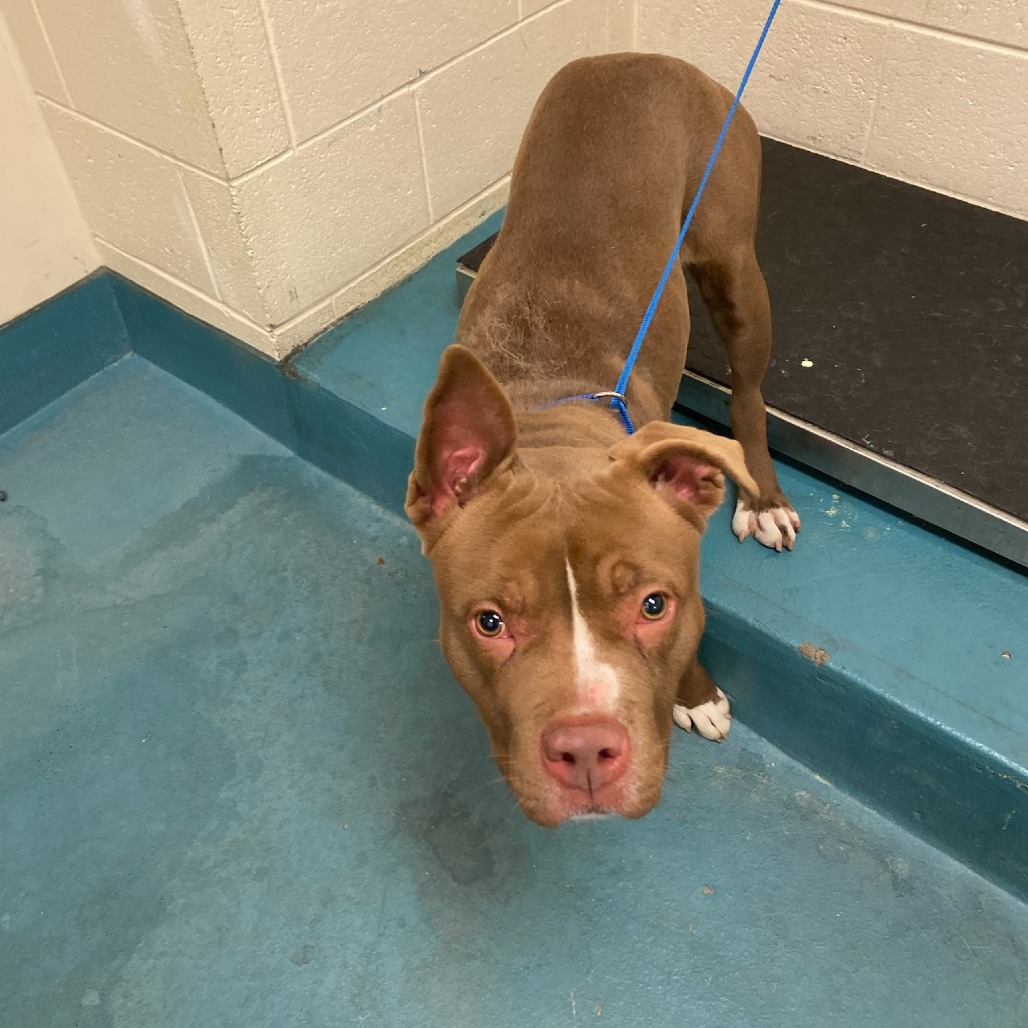 Sharnice — thumbnail 2