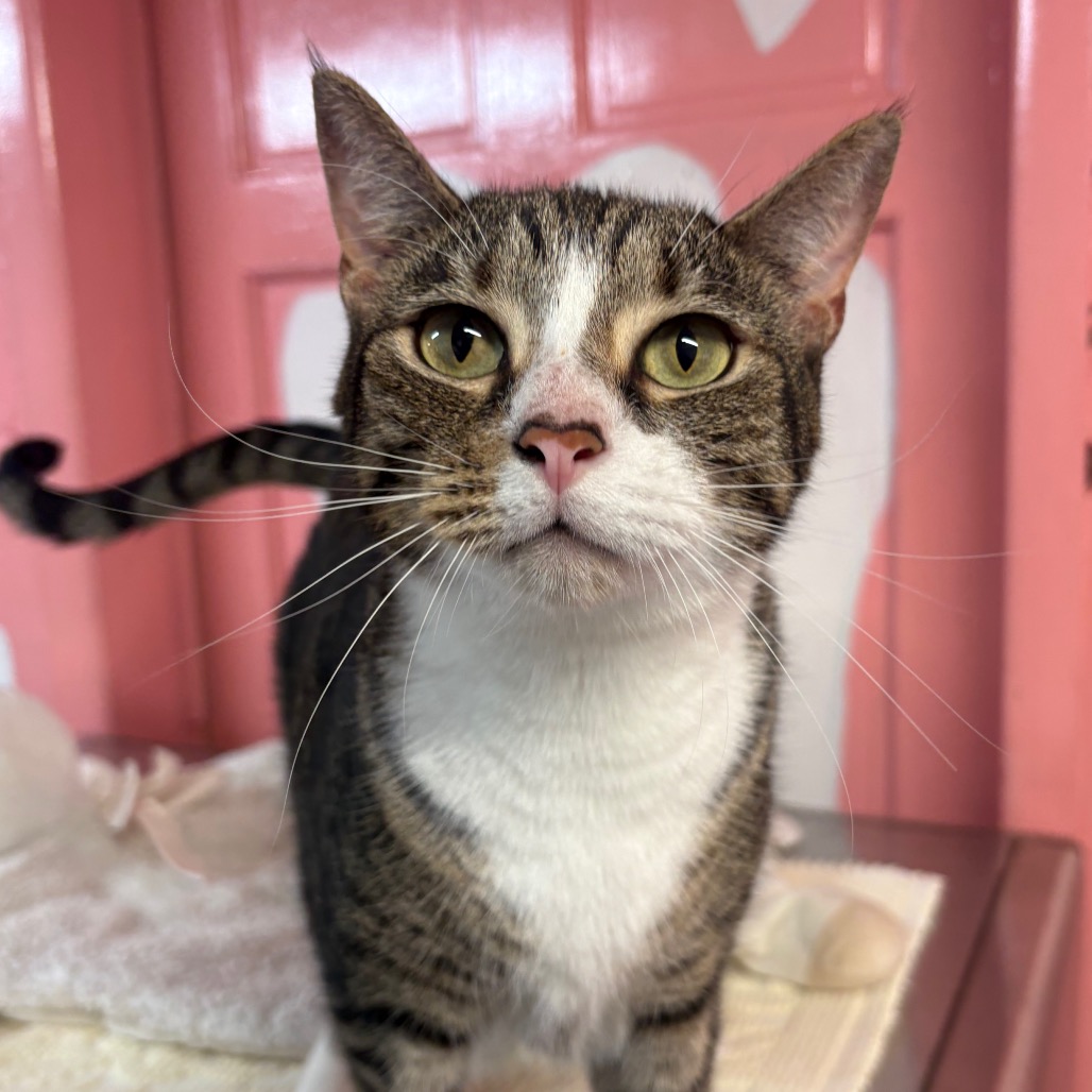 Image of Asher looking at the camera