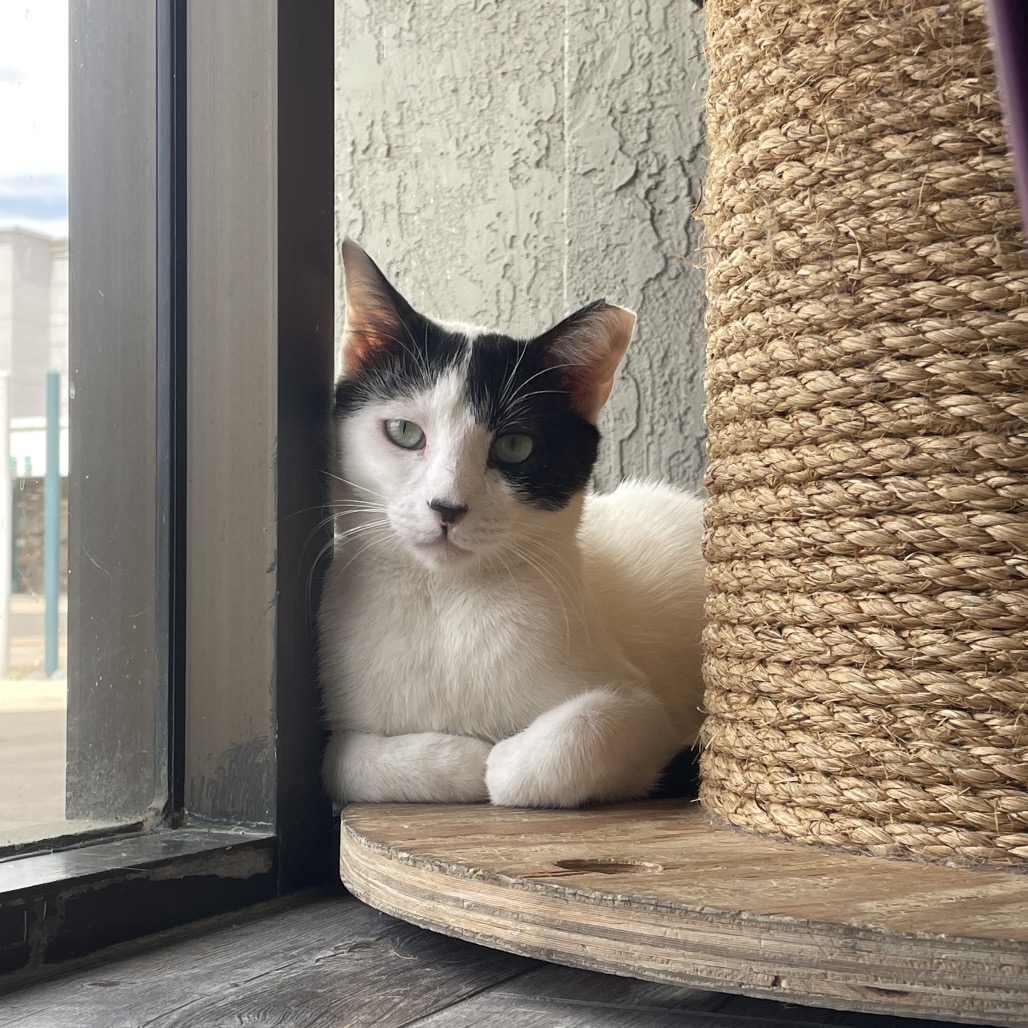 Photo of Mr. Moo