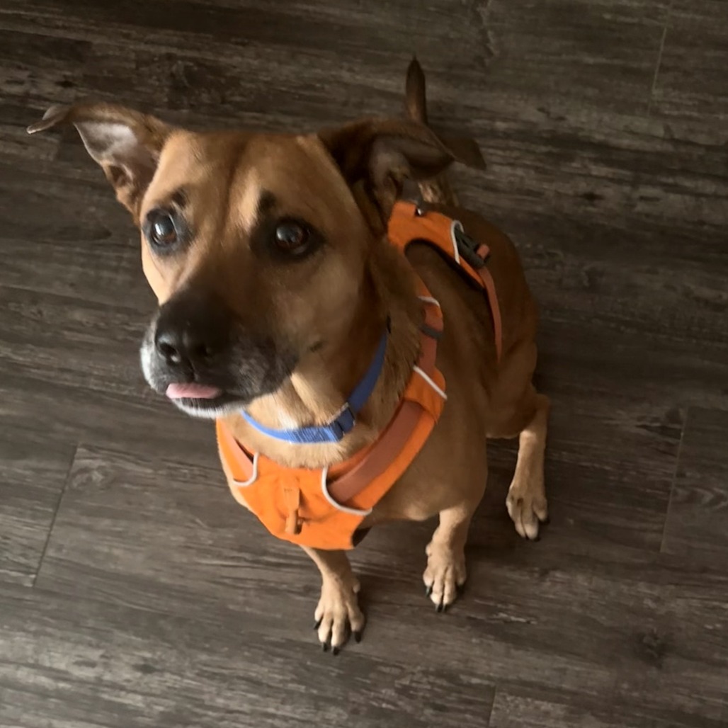 Honey — thumbnail 10