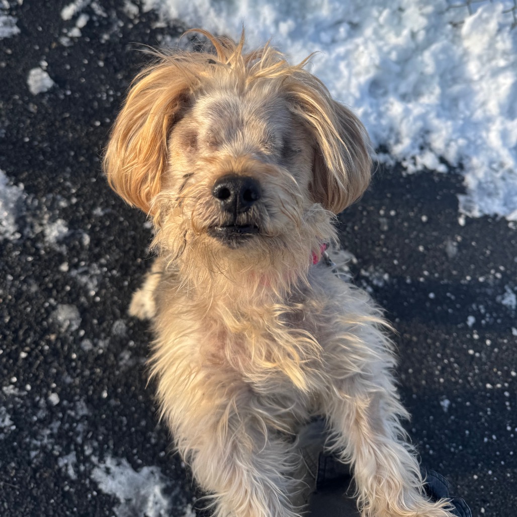 Bear, additional photo