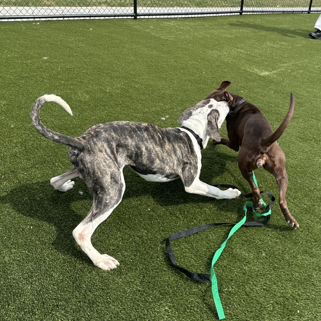 Stacks — thumbnail 5