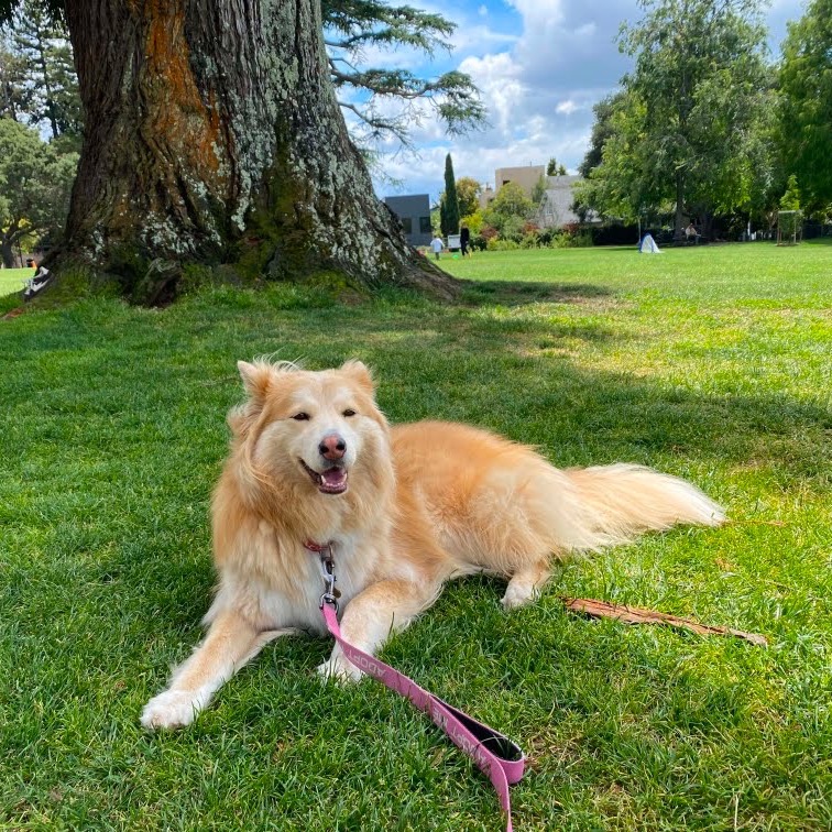 COOKIE, photo 23