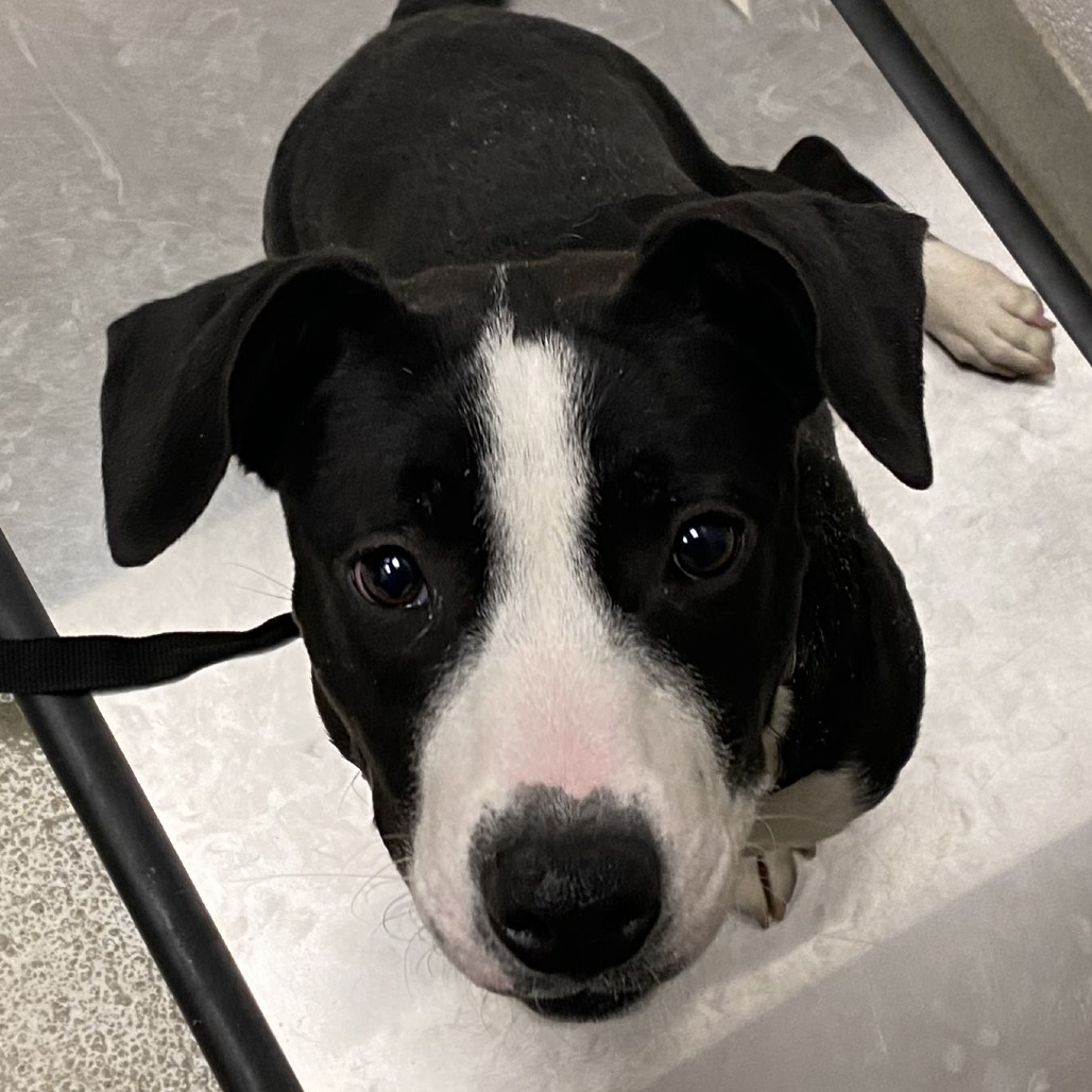 Helen — thumbnail 2