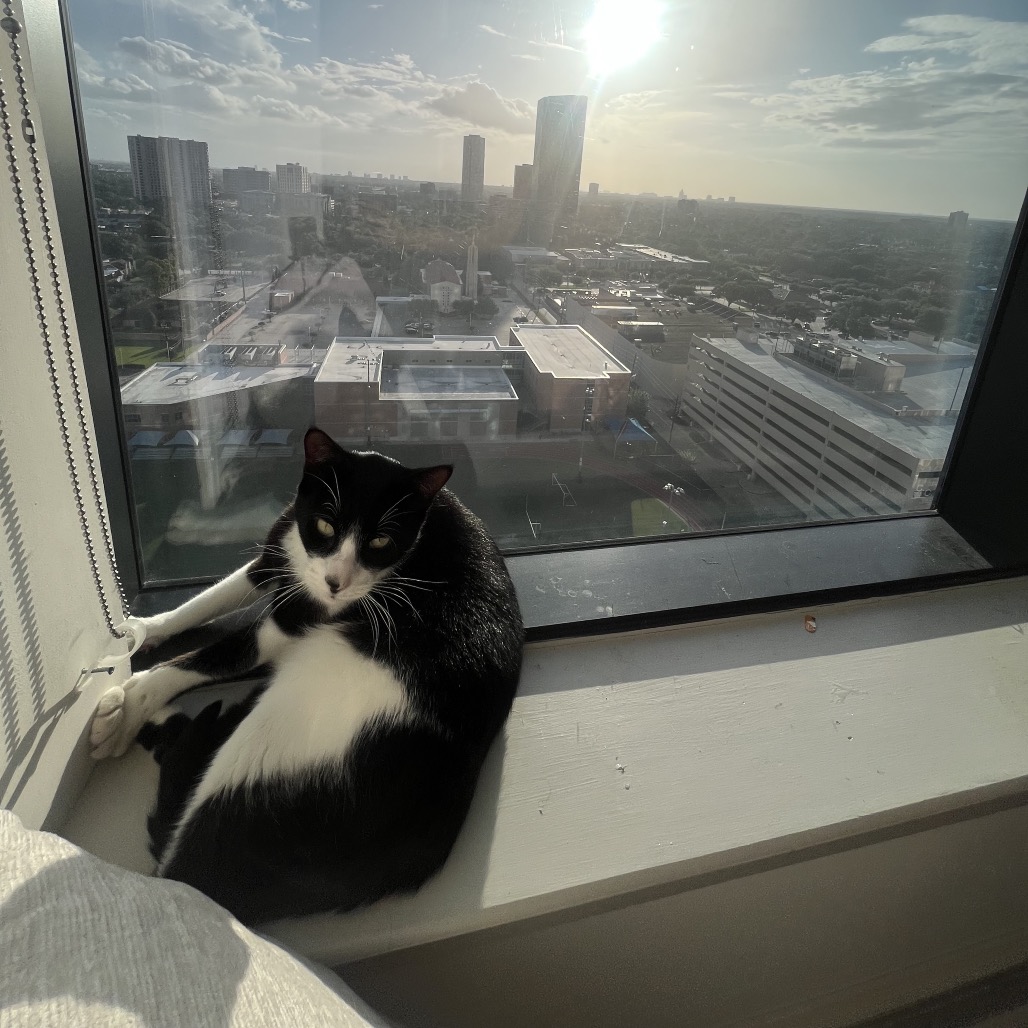 Cookie, photo 5