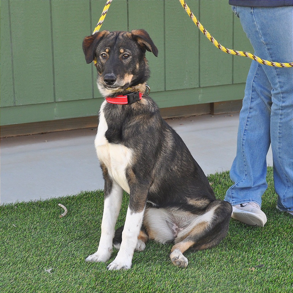 Mocha — thumbnail 2