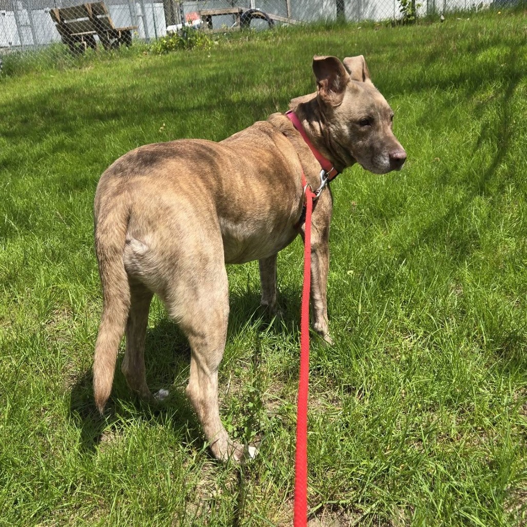 Dixie Loo, photo 23