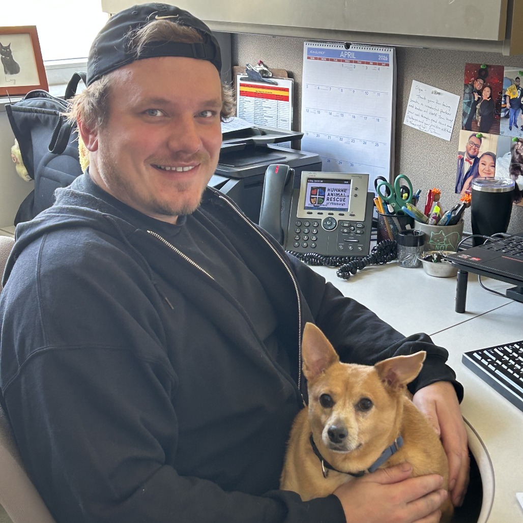 Photo of Cheddar Roberta 7