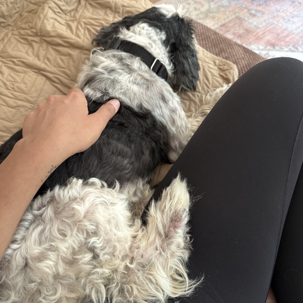 Olaf, photo 5