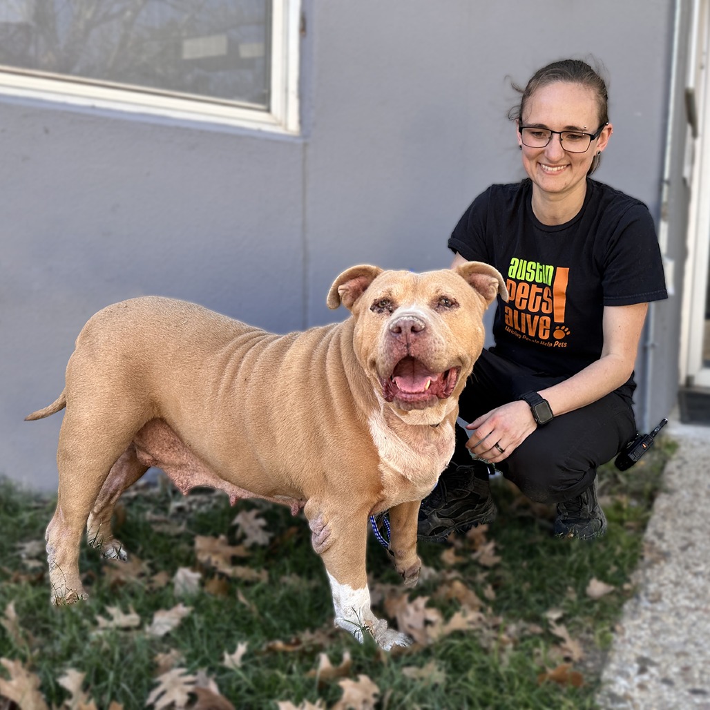 Ellie Belly, additional photo