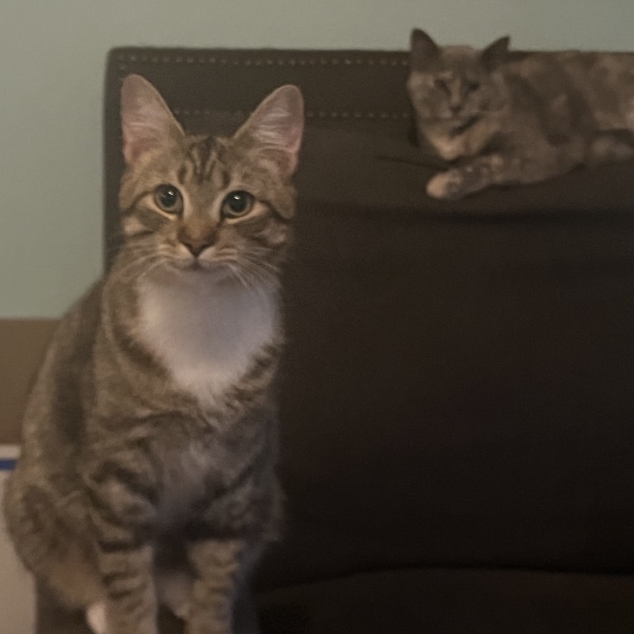 Fluffernut — thumbnail 3