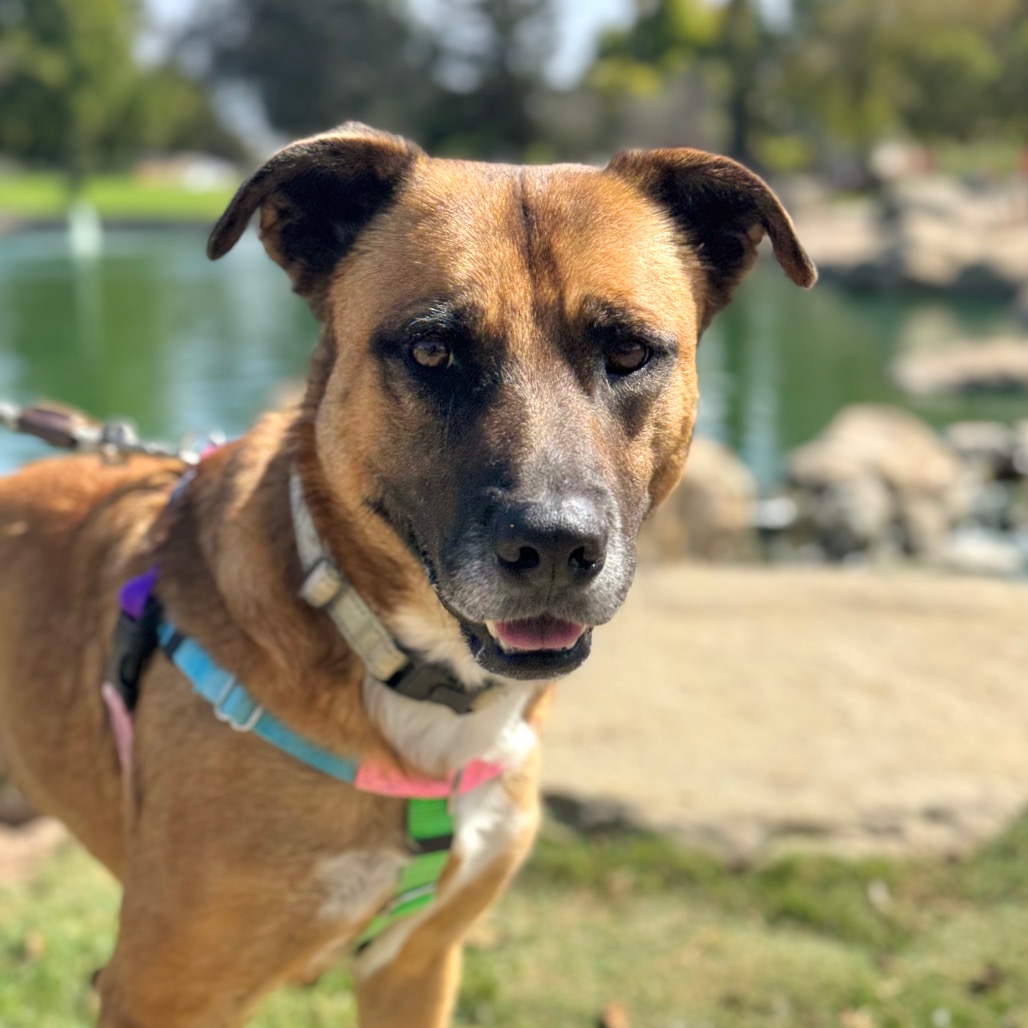 Bubz, photo 20