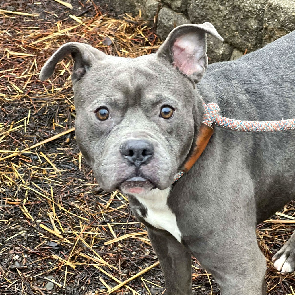 Oxford — thumbnail 3