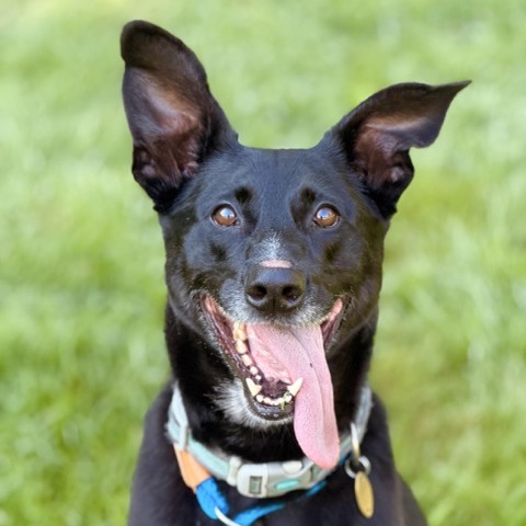 Benny photo 5