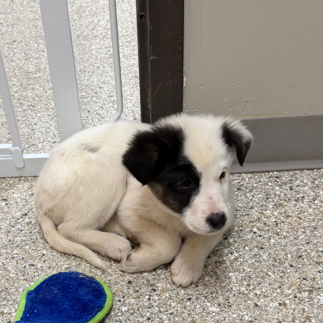 Ramada — thumbnail 4