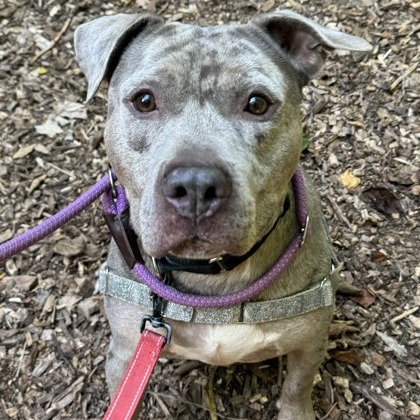 Milori — thumbnail 4