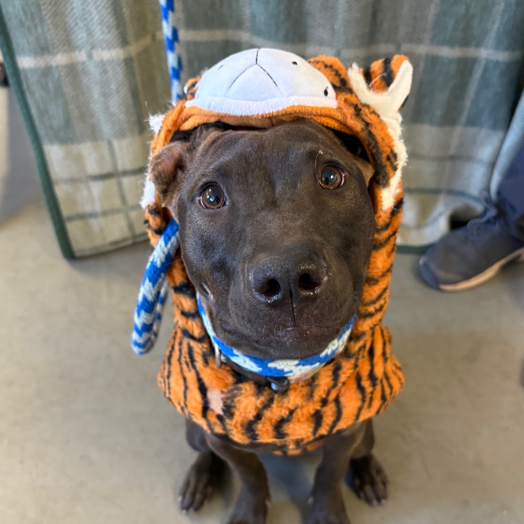 Winnie, photo 7