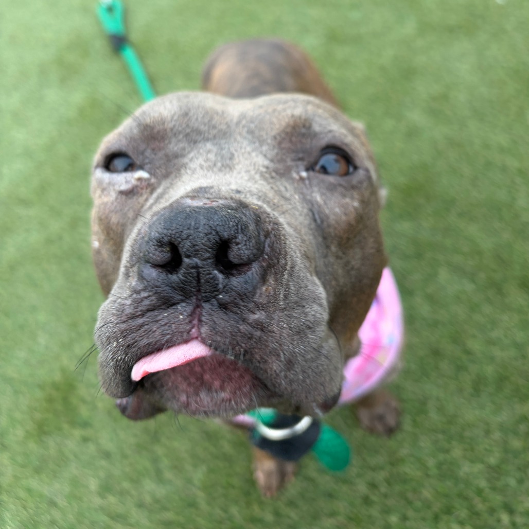 October — thumbnail 5