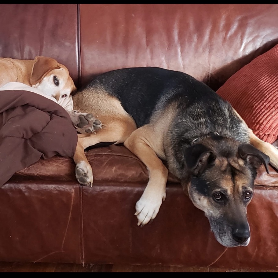 Ranger, photo 18