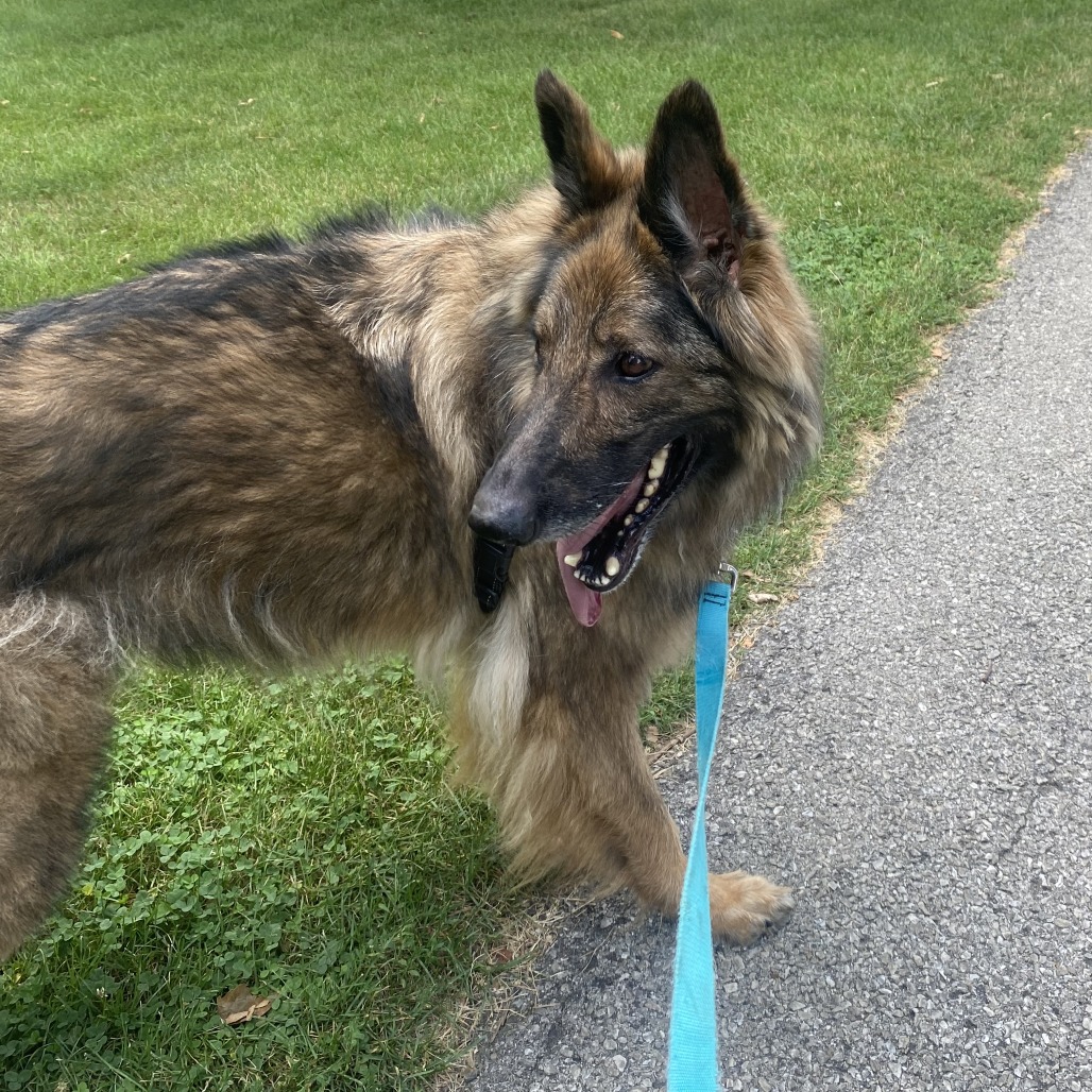 Frieda