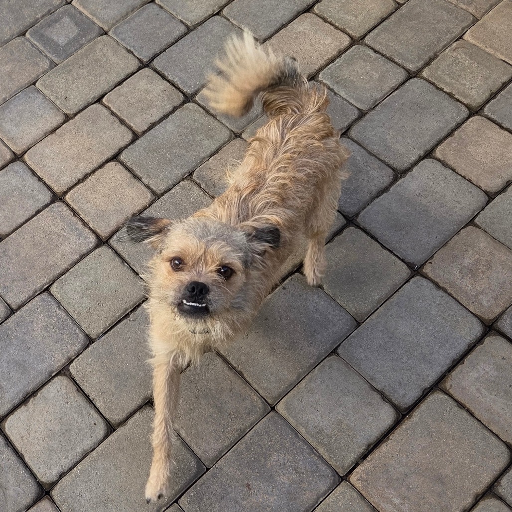 Albite — thumbnail 3