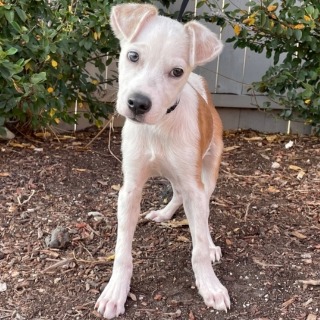 Oasis — thumbnail 3