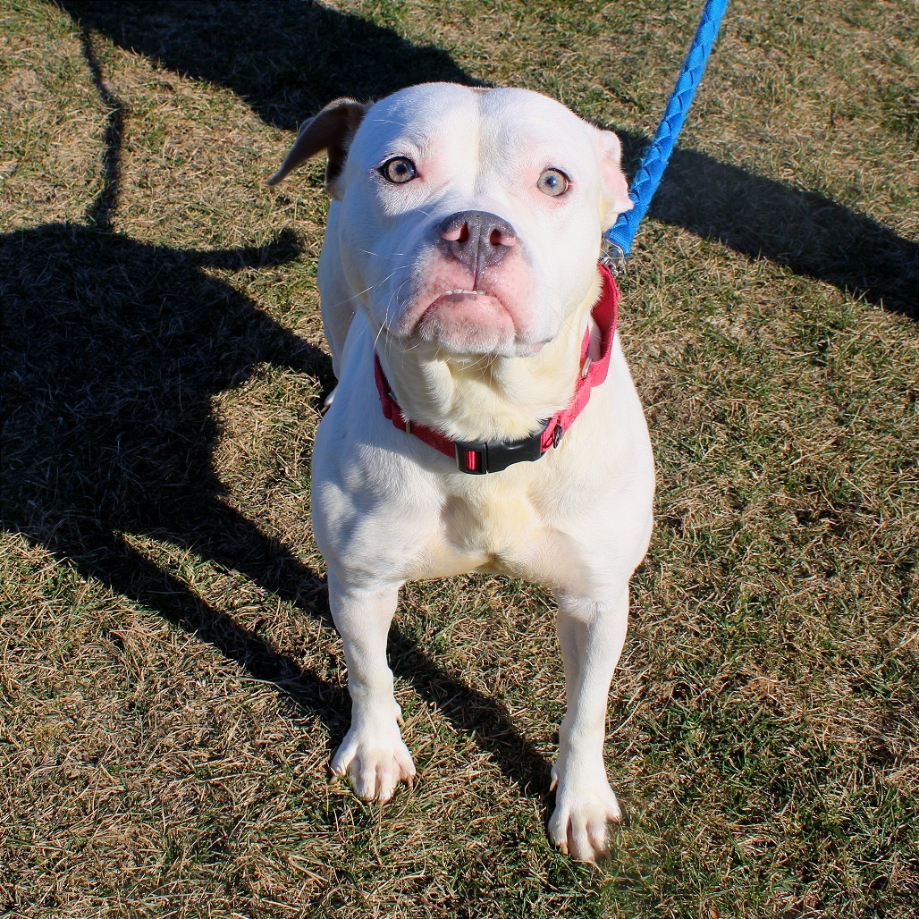 Ruby — thumbnail 3