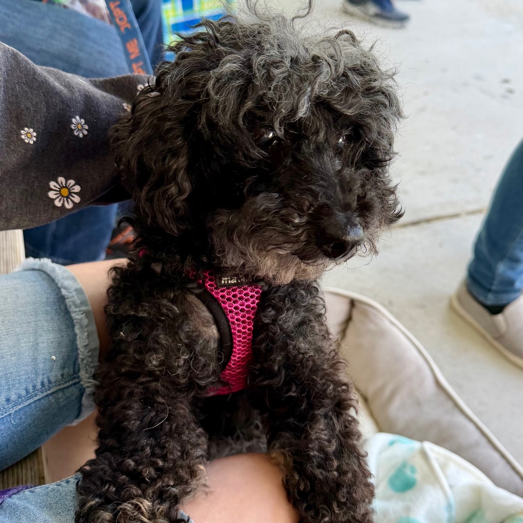 Willow (Whoopie), photo 22