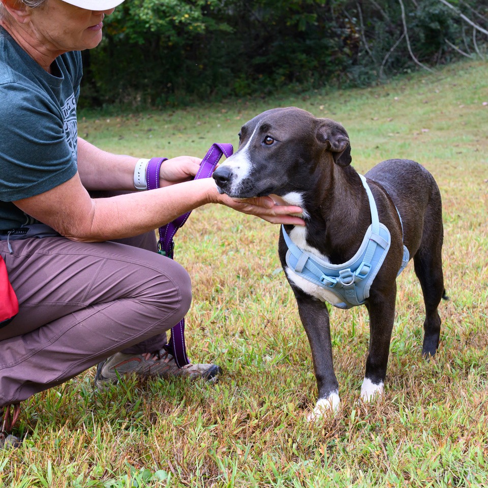 Ruthie, photo 17