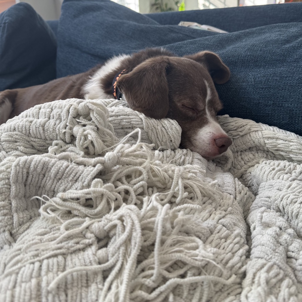 Socks, photo 4