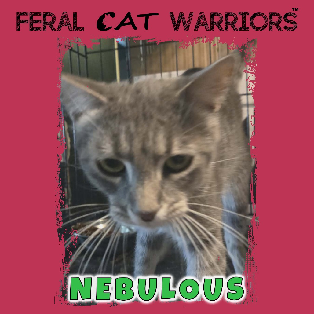 Nebulous