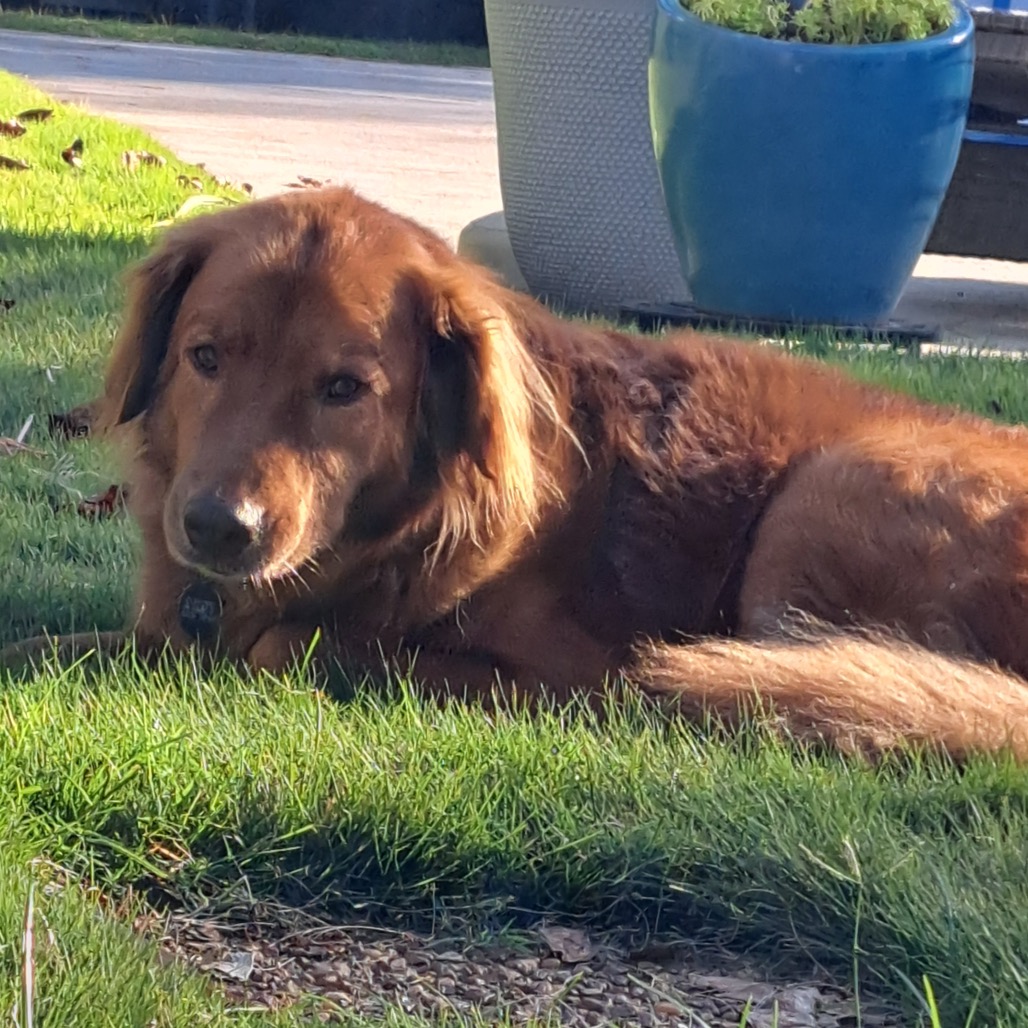 Clifford