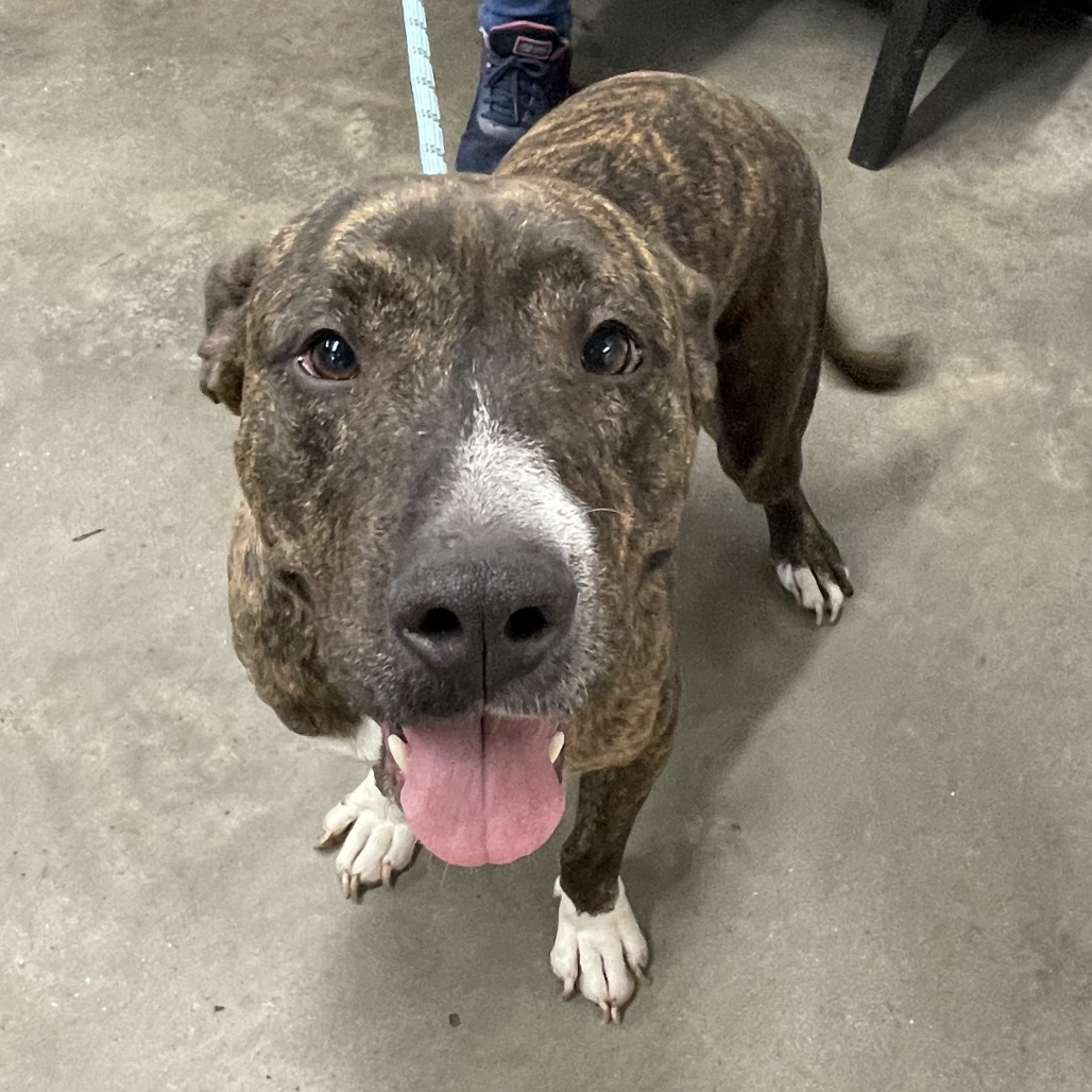 Lana — thumbnail 2