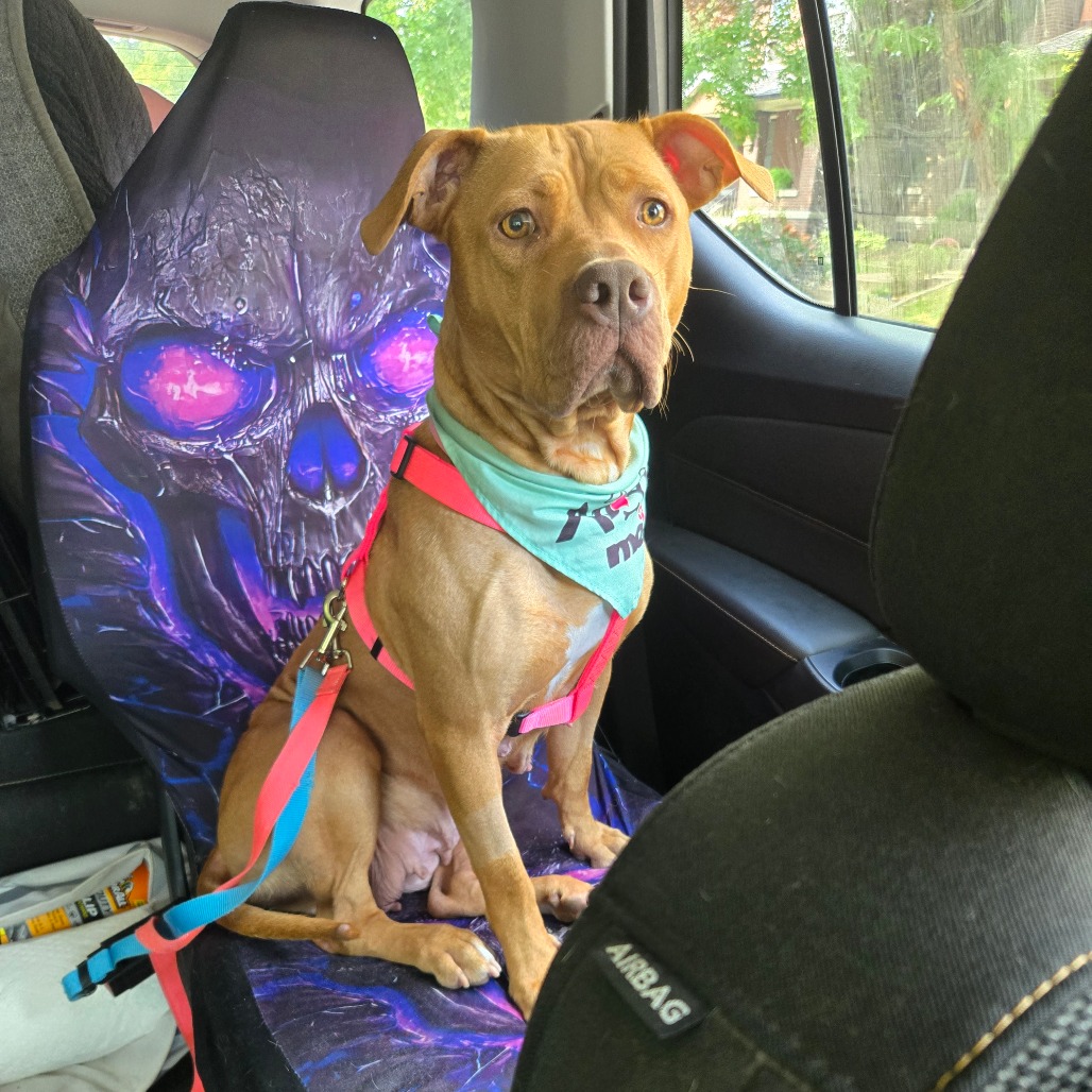 Valentina/Mom  photo