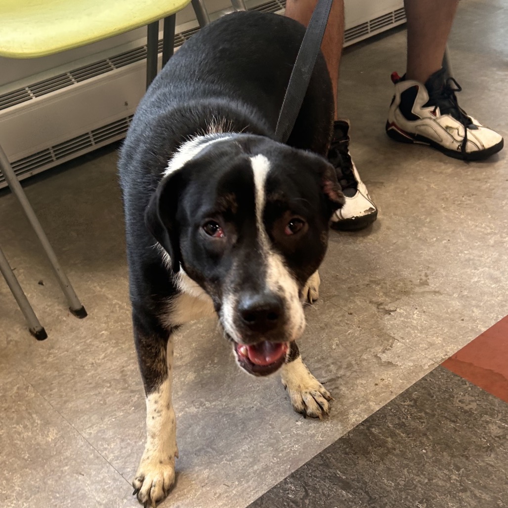 Oakley — thumbnail 2