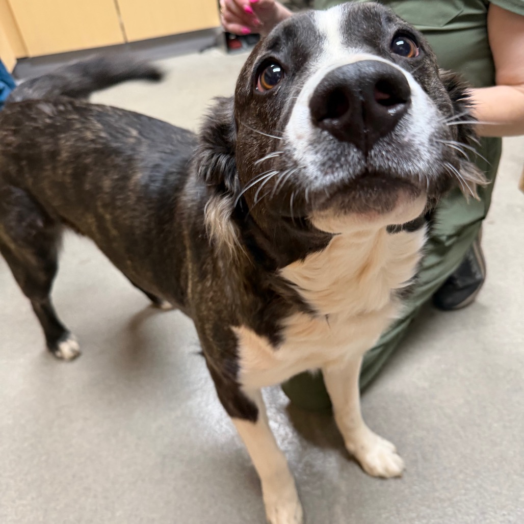 Kennel#22's preview photo