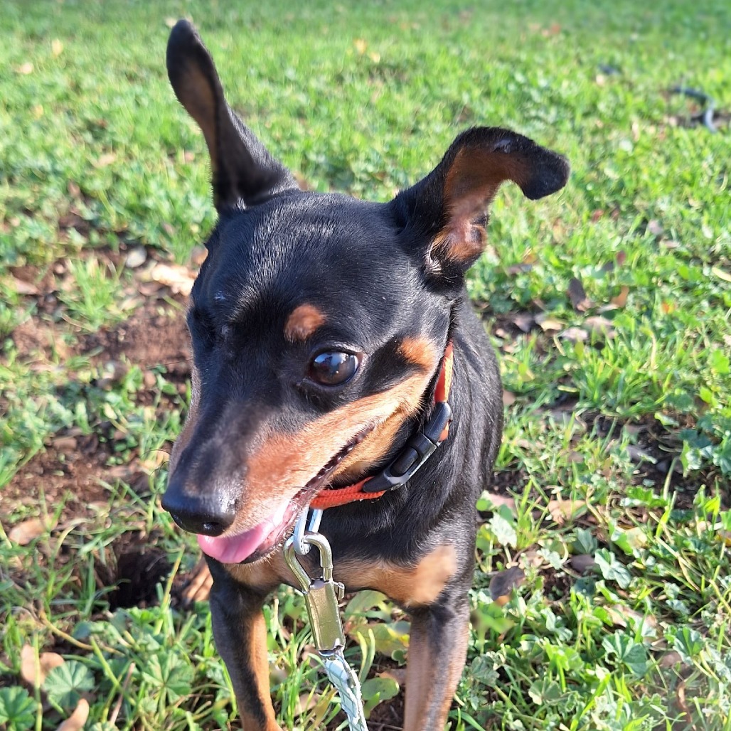 HOOK — thumbnail 5