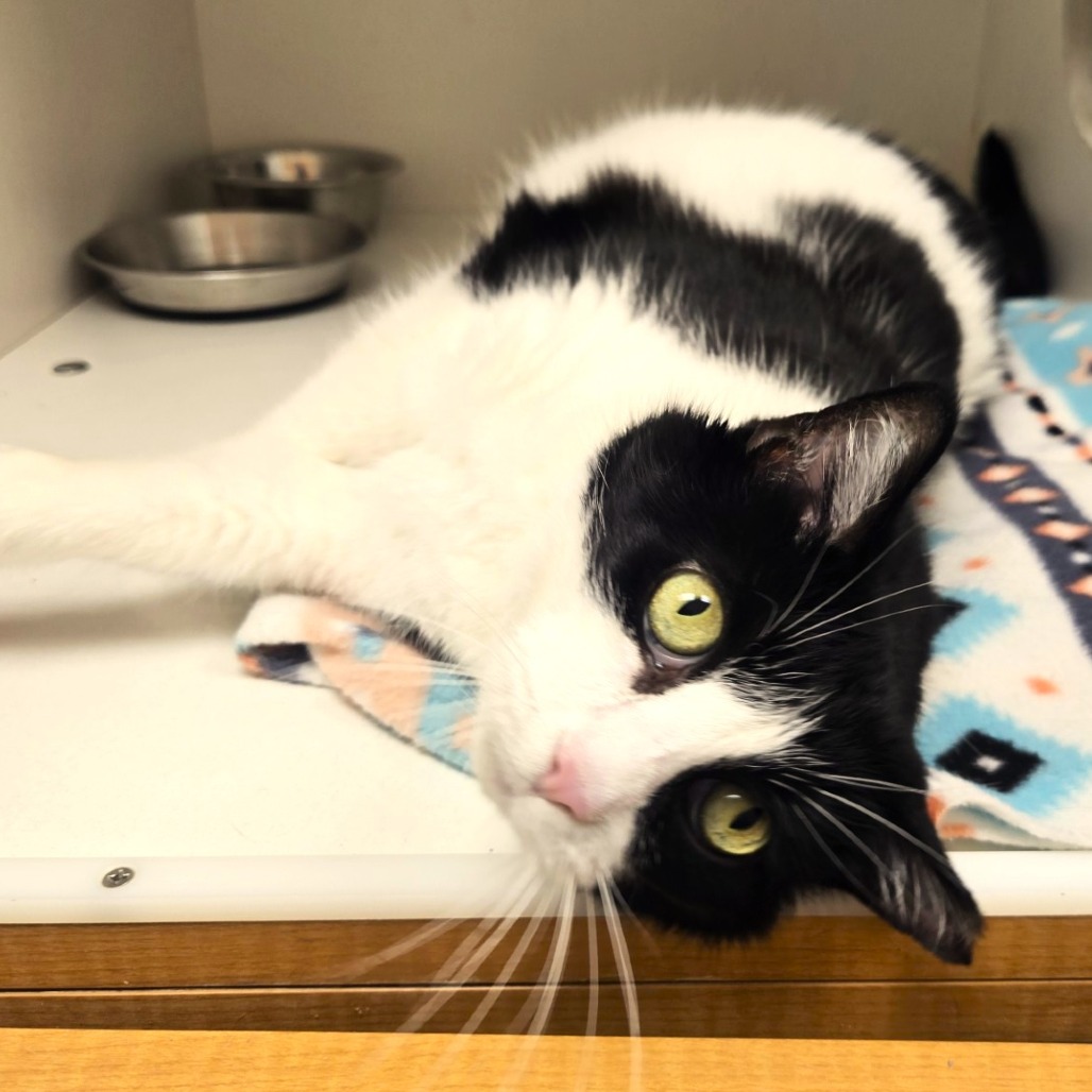 Penny — thumbnail 5