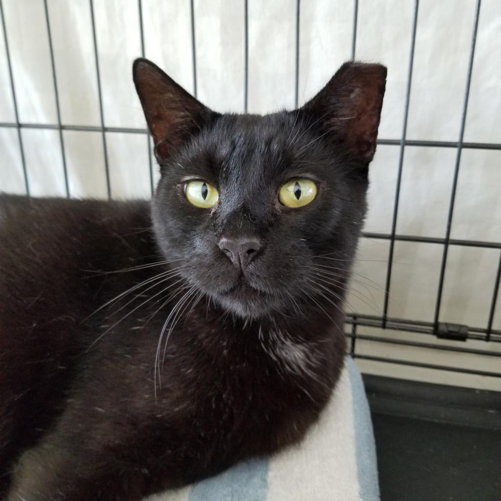 Lloyd — thumbnail 3