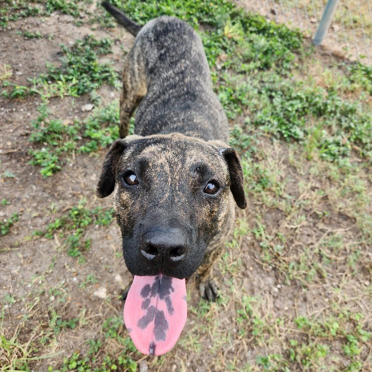 Murph photo 27