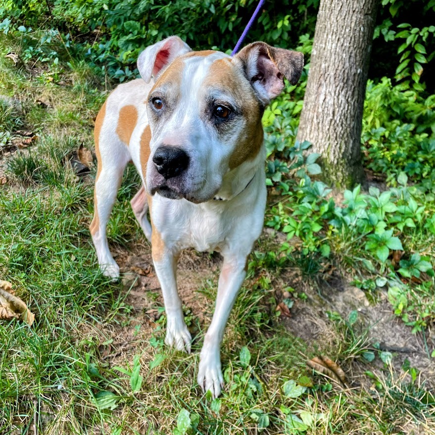 Ol' Lady — thumbnail 4